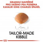 Royal Canin Kavalír King Charles Puppy 1,5 kg – Zboží Mobilmania