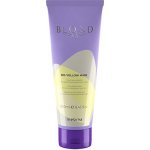 Inebrya BLONDesse No-Yellow Kit Mask 250 ml – Zbozi.Blesk.cz