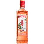 Beefeater Peach & Raspberry 37,5% 0,7 l (holá láhev) – Zbozi.Blesk.cz