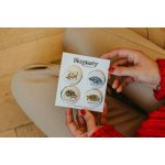 ePiPí Sada magnetů - Želvy – Zboží Mobilmania