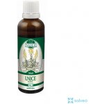 Lnice tinktura z pupenů pomáhá trávení 50 ml – Hledejceny.cz
