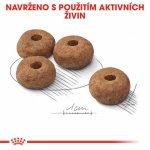 Royal Canin Medium Sterilised 3 kg – Sleviste.cz