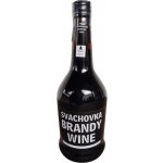 Svachovka Brandy wine 19% 0,7 l (holá láhev) – Zboží Dáma