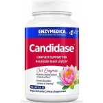 Enzymedica Candidase 84 kapslí – Hledejceny.cz