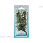 Tetra Anacharis 15 cm – Sleviste.cz