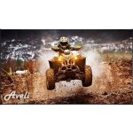 AVELI PREMIUM 221x124 16:9 XRT-00281 – Zboží Živě