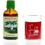 Bylinné kapky Galgán oddenek tinktura 50 ml – Hledejceny.cz
