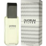Antonio Puig Quorum Silver toaletní voda pánská 100 ml – Hledejceny.cz