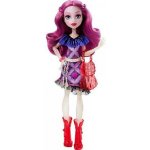 Mattel Monster High Základní příšerka Ari Hauntington – Hledejceny.cz