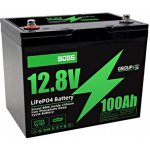 Green Boss LiFePO4 12,8 V 100Ah MINI – Zboží Živě