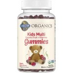 Garden of Life Organické multivitamíny pro děti na cucání s příchutí třešně 120 ks – Hledejceny.cz