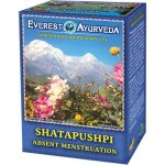 Everest Ayurveda Shatapushpi 100 g – Hledejceny.cz