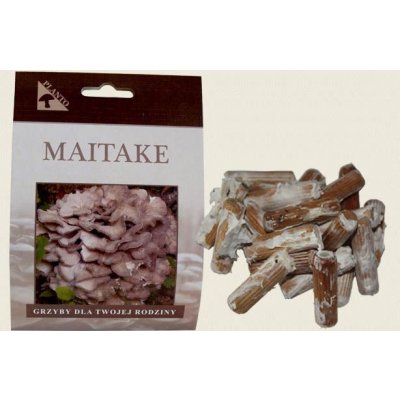 PLANTO Maitake-trsnatec lupenitý (Grifola frondosa) 20 ks - podhoubí na kolících PO-MAI-20KS – Zboží Dáma