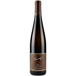 Weingut Lucas Riesling Forster UNGEHEUER Ryzlink rýnský 4,6 g/l suché bílé 2022 13% 0,75 l (holá láhev) – Hledejceny.cz