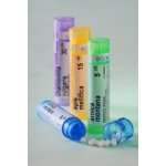 ARNICA MONTANA POR 30CH GRA 4G – Zboží Dáma ARNICA MONTANA POR 30CH GRA 4G – Zboží Dáma