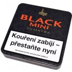 Villiger Black Mini Sumatra 20 ks – Zboží Dáma