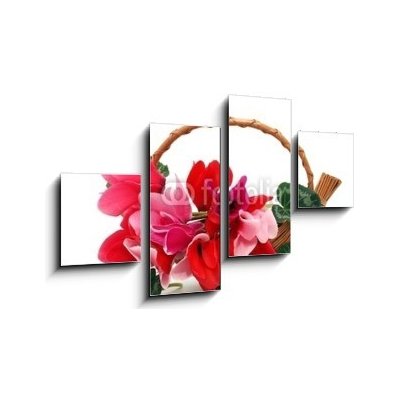 Obraz 4D čtyřdílný - 100 x 60 cm - Colourful cyclamen flowers in the basket Barevné květy kylama v koši – Hledejceny.cz