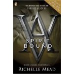 Vampire Academy: Spirit Bound - Richelle Mead – Hledejceny.cz