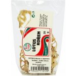 Sunfood Lotus kořen sušený 20 g – Zboží Dáma