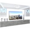 Obývací stěna Belini Premium Full Version bílý lesk šedý antracit Glamour Wood LED osvětlení Nexum 133