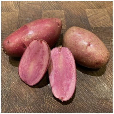 Sadbové brambory Heiderot - Solanum tuberosum - Kiepenkerl - sadba - 5 ks