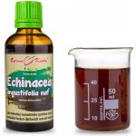 Bylinné kapky Echinacea tinktura 50 ml – Hledejceny.cz