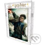 HM Studio 3D puzzle Harry Potter 300 ks – Zbozi.Blesk.cz