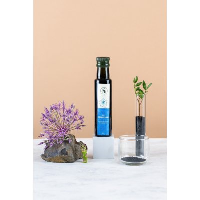 Agro-EL Znojmo Olej z černého kmínu 0,10 l – Hledejceny.cz