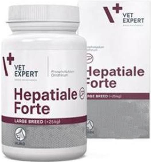 Vet Planet Czech Republic spol. s r.o Hepatiale Forte Large Breed 40 tbl