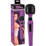 You2Toys My Secret Love Passion Pointer – Hledejceny.cz