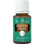 Young Living Eukalyptus radiata esenciální olej 15 ml – Hledejceny.cz