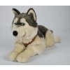 Plyšák pes HUSKY ležící s popruhy 62 cm