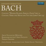 Bach, Johann Sebastian - Cantatas Bwv 12+147 CD – Hledejceny.cz