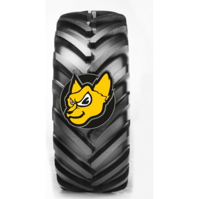 Michelin AXIOBIB 2 650/65-42 171E TL – Hledejceny.cz