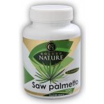 Golden Nature Saw Palmetto 45% mastných kyselin 100 kapslí – Hledejceny.cz