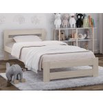 AMI Nábytek masiv VitBed Eureka bílá borovice s roštem – Zboží Dáma