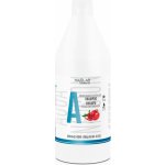 Salerm hair lab vyvážený šampon pro rovnováhu 1200 ml – Hledejceny.cz
