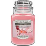 Yankee Candle Berry Kiss Bellini 538 g – Zboží Mobilmania