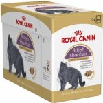 Royal Canin British Shorthair Gravy 12 X 85 g – Sleviste.cz