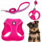 Truelove Postroj + vodítko sada pro malého psa – Hledejceny.cz