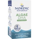 Nordic Naturals Algae DHA, Veganská Omega, 500 mg, 60 softgelových kapslí – Hledejceny.cz