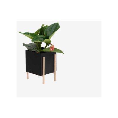 Květník se stojanem Botanic Pot Square Black Design House Stockholm – Hledejceny.cz