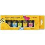 Cadence Boya akrylové barvy na kamínky Cadence sada 6 ks a akrylový lak 25 ml zářivé – Zboží Dáma