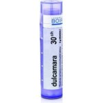 DULCAMARA POR 30CH GRA 1X4G – Hledejceny.cz