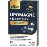 Vitar LIPOMAGNE+B komplex 60 kapslí – Hledejceny.cz