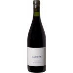 Bodega Chacra Lunita Pinot Noir 2025 Červené 11.0% 0.75 l (holá láhev) – Hledejceny.cz