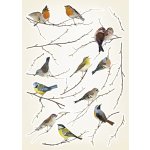 Freestyle Ptáčci 19705 Samolepicí dekorace na zeď 50x70cm – Zboží Dáma Freestyle Ptáčci 19705 Samolepicí dekorace na zeď 50x70cm – Zboží Dáma