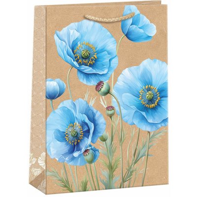 ARGUS Dárková papírová taška (23.3 x 31.3 cm) 07540150 – Zboží Živě