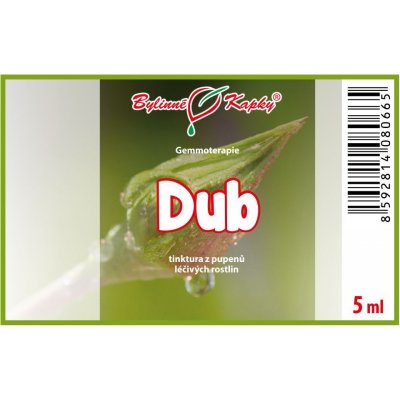 Bylinné kapky Gemmoterapie Dub pupeny tinktura z pupenů 5 ml – Hledejceny.cz