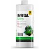 Invital Nitro 500 ml